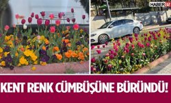 Kent Renk Cümbüşüne Büründü!