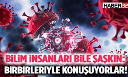 Merak Uyandıran Keşif: Birbirleriyle Sessizce Konuşuyorlar