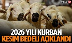 Son Dakika: 2026 Yılı Kurban Kesim Bedeli Açıklandı