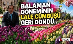 “Balaman’ın Başlattığı Lale Cümbüşü, Şimdi Yeniden…”