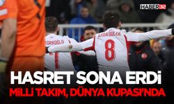 24 yıllık hasret sona erdi, Milli Takım, Dünya Kupası'nda