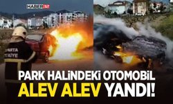 Park Halindeki Otomobil Alev Alev Yandı!
