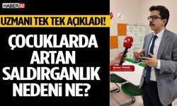 Çocuklarda Artan Saldırganlık Nedeni Ne?