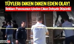Tüyleri Diken Diken Eden Olay! Böylesi Görülmedi