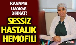 Kanama Uzarsa Dikkat! Sessiz Hastalık Hemofili
