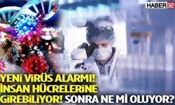 Yeni Virüs Alarmı! İnsan Hücrelerine Girebiliyor