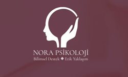 Psikolojik Destek Yolculuğu: Terapi Hakkında Merak Edilenler ve Adım Adım İyileşme Rehberi