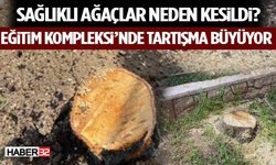 Sağlıklı Ağaçlar Neden Kesildi? Eğitim Kompleksi’nde Tartışma Büyüyor