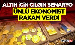 Altın İçin Çılgın Senaryo- Ünlü Ekonomist Rakam Verdi