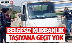 Belgesiz Kurbanlık Taşıyana Geçit Yok