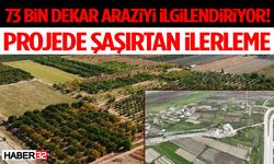 73 Bin Dekar Araziyi İlgilendiriyor! Projede Şaşırtan İlerleme