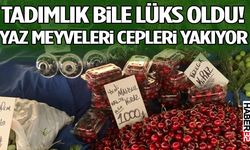 Tadımlık Bile Lüks Oldu! Yaz Meyveleri Cepleri Yakıyor