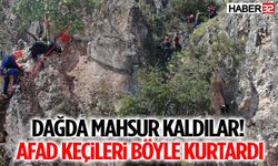 Dağda Mahsur Kaldılar! AFAD Keçileri Böyle Kurtardı