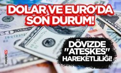 Dolar ve Euro'da Son Durum!