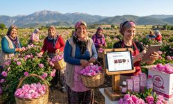 Isparta Gülünde Hasat Bereketine 'E-Ticaret' Eklenince Üreticinin Yüzü Güldü