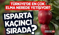 Türkiye’de En Çok Elma Nerede Yetişiyor?