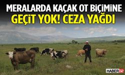 Meralarda Kaçak Ot Biçimine Geçit Yok! Ceza Yağdı