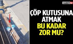 Hastane Karşısında Büyük Duyarsızlık!