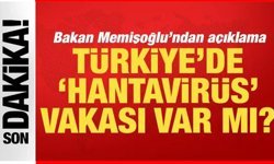 Hantavirüs Paniği Büyüdü Bakanlıktan Açıklama Geldi!