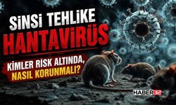 Hantavirüs-Kimler Risk Altında, Nasıl Korunmalı?