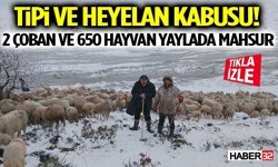 Tipi ve Heyelan Kabusu! 2 Çoban ve 650 Hayvan Yaylada Mahsur