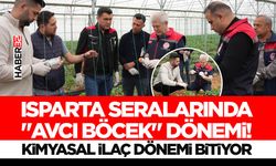 Isparta Seralarında "Avcı Böcek" Dönemi!
