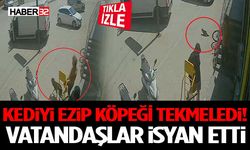 Kediyi Ezip Köpeği Tekmeledi Vatandaşlar İsyan Etti