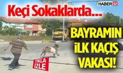 Bayramın İlk Kaçış Vakası: Keçi Sokaklarda