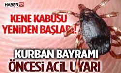Kene Kabusu Yeniden Başladı! Kurban Bayramı Öncesi Acil Uyarı