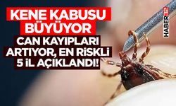 Kene Kabusu Büyüyor: Can Kayıpları Artıyor, En Riskli 5 İl Açıklandı!