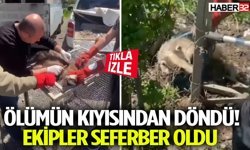 Ölümün Kıyısından Döndü! Ekipler Seferber Oldu