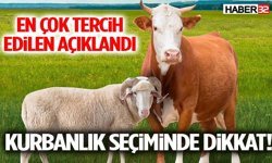 Kurbanlık seçiminde dikkat! En çok tercih edilen açıklandı