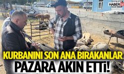 Kurbanını Son Ana Bırakanlar Pazara Akın Etti!