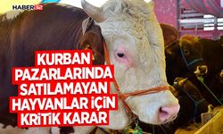 Kurban Pazarlarında Satılamayan Hayvanlar İçin Kritik Karar