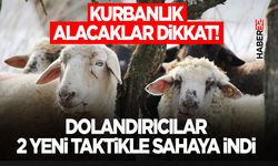 Dolandırıcılar 2 Yeni Taktikle Sahaya İndi