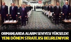 Ormanlarda Alarm Seviyesi Yükseldi! Yeni Dönem Stratejisi Belirleniyor