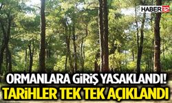 Ormanlara Giriş Yasaklandı! Tarihler Tek Tek Açıklandı