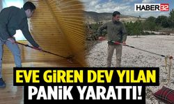 Eve Giren Dev Yılan Panik Yarattı! Ekipler Anında Müdahale Etti
