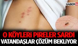 O Köyleri Pireler Sardı: Vatandaşlar Çözüm Bekliyor