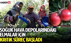 Soğuk Hava Depolarındaki Elmalar İçin Kritik Süreç Başladı