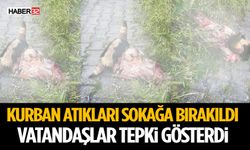 Kurban Atıkları Sokağa Bırakıldı Vatandaşlar Tepki Gösterdi
