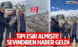 Tipi Esir Almıştı! Sevindiren Haber Geldi