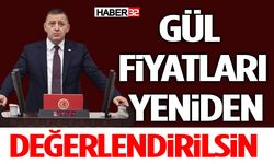 Gül Fiyatları Yeniden Değerlendirilsin