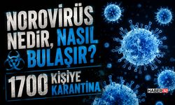 Norovirüs Nedir, Nasıl Bulaşır? 1700 Kişiye Karantina