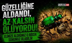 Güzelliğine Aldandı, Az Kalsın Ölüyordu!