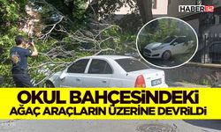Okul Bahçesindeki Ağaç Araçların Üzerine Devrildi