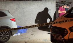 Alacak-verecek kavgasında ağabeyini bıçaklayarak öldürdü