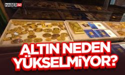 Uzman İsim Açıkladı: Altın Neden Yükselmiyor?