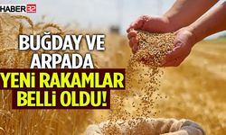 Buğday Ve Arpada Yeni Rakamlar Belli Oldu!