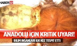 Anadolu İçin Kritik Uyarı! Bilim İnsanları İlk Kez Tespit Etti